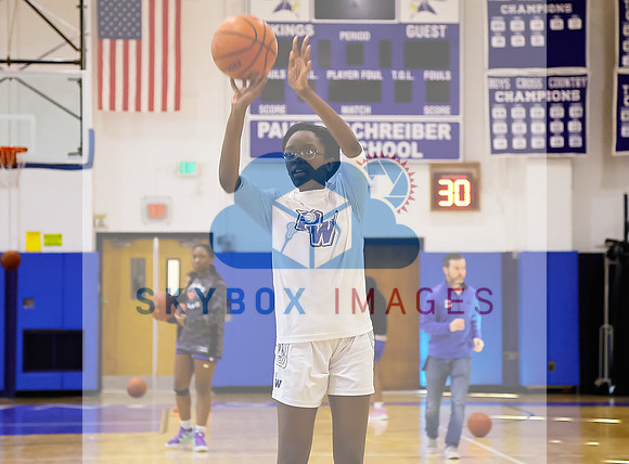 Port Washington Lady Vikings Basketball Vs Valley Stream Central Senior Game.