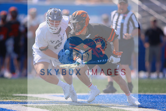 27727NCAA quarterfinals. Yale Vs Princeton 2022