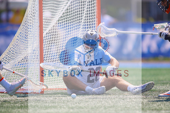 27725NCAA quarterfinals. Yale Vs Princeton 2022