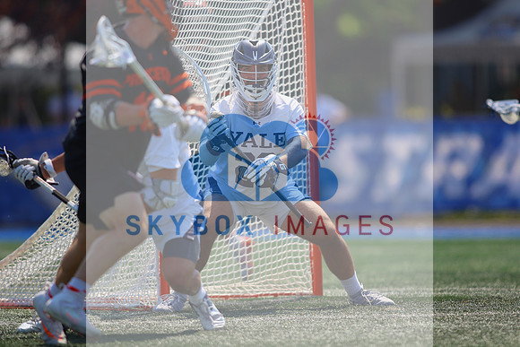 27722NCAA quarterfinals. Yale Vs Princeton 2022