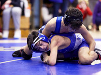 Port Wrestling 5