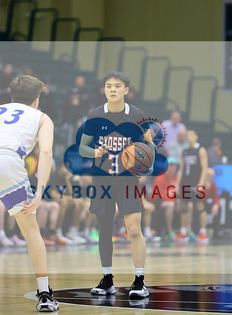 Port Washington Mens Basketball County Semi-finals Vs Syosset