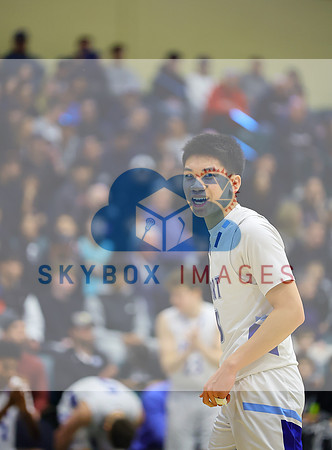Port Washington Mens Basketball County Semi-finals Vs Syosset
