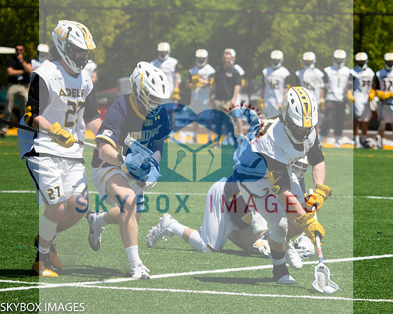 Adelphi vs Merrimack NCAA playoffs 2019