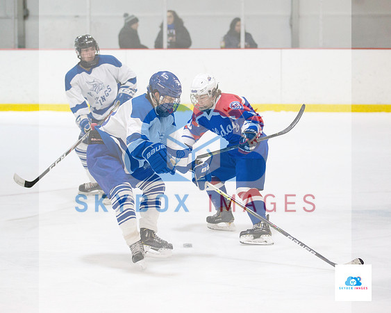 PW Vikings High School Ice hockey team 2020