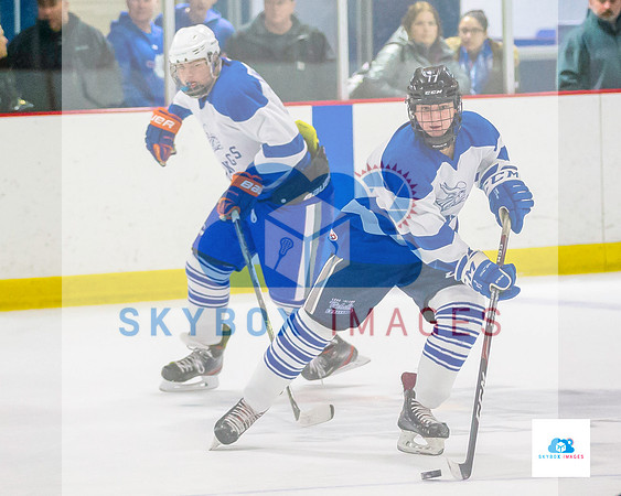 PW Vikings High School Ice hockey team 2020