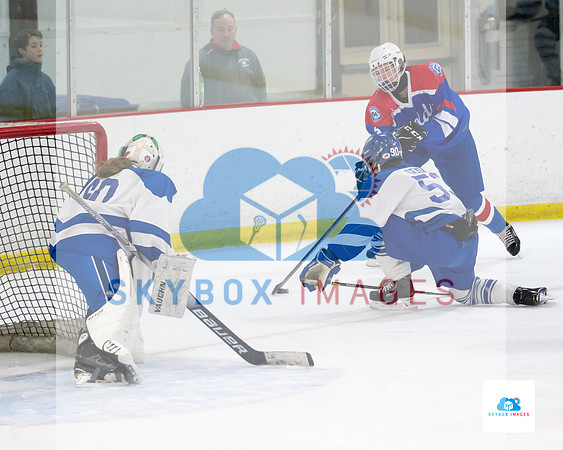 PW Vikings High School Ice hockey team 2020