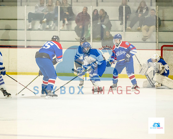 PW Vikings High School Ice hockey team 2020