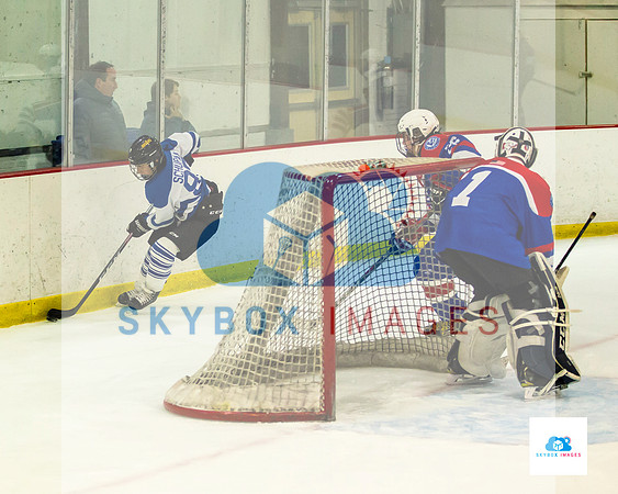 PW Vikings High School Ice hockey team 2020