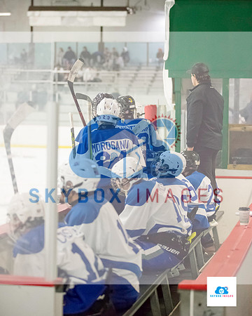 PW Vikings High School Ice hockey team 2020
