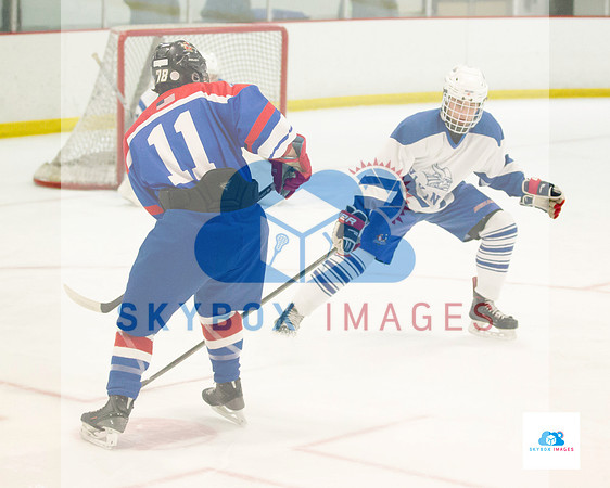 PW Vikings High School Ice hockey team 2020