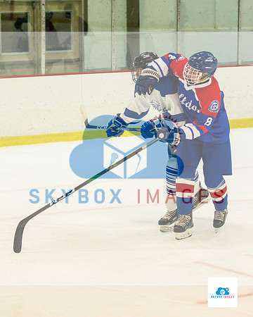 PW Vikings High School Ice hockey team 2020