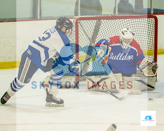 PW Vikings High School Ice hockey team 2020
