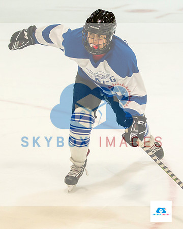 PW Vikings High School Ice hockey team 2020