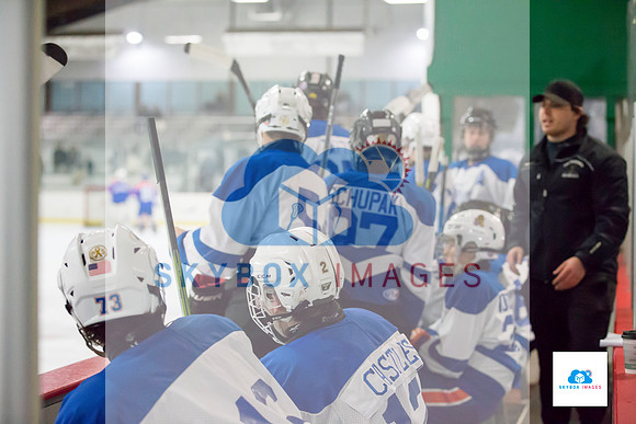 PW Vikings High School Ice hockey team 2020
