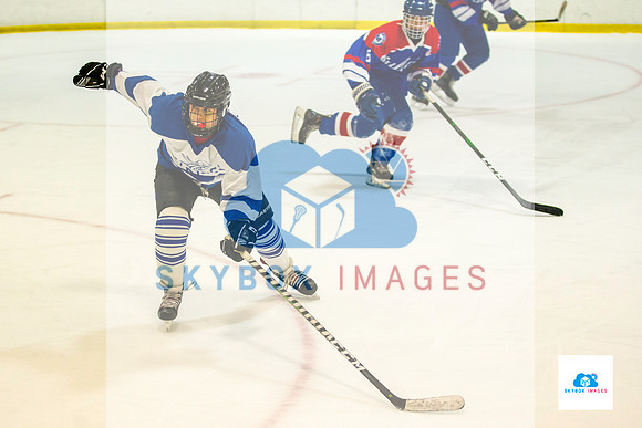 PW Vikings High School Ice hockey team 2020