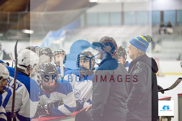 PW Vikings High School Ice hockey team 2020