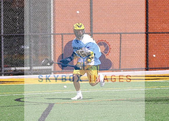 AIC Vs Adelphi Mens Lacrosse 2021