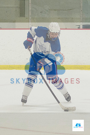 PW Vikings High School Ice hockey team 2020