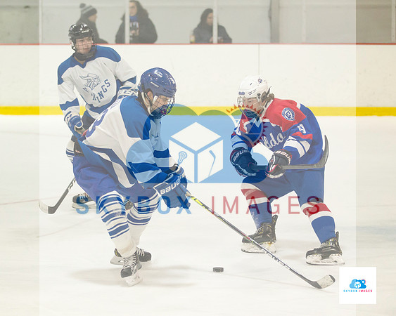 PW Vikings High School Ice hockey team 2020