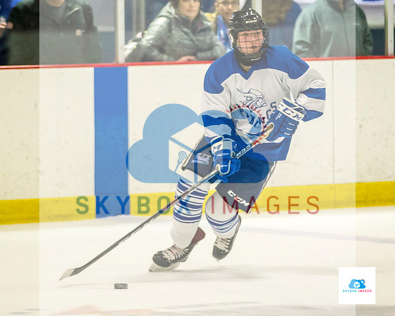 PW Vikings High School Ice hockey team 2020