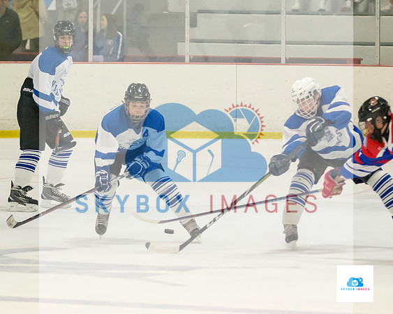 PW Vikings High School Ice hockey team 2020
