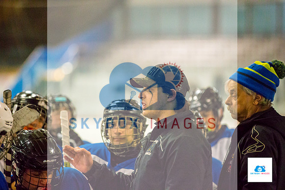 PW Vikings High School Ice hockey team 2020