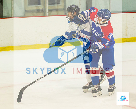 PW Vikings High School Ice hockey team 2020