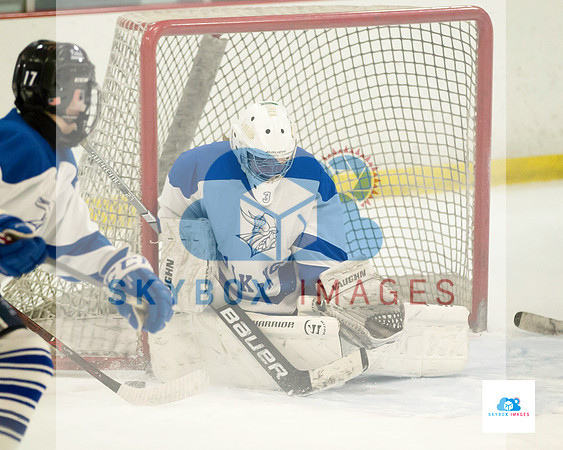 PW Vikings High School Ice hockey team 2020