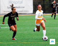 AIC vs Adelphi women's soccer NE10 Playoffs 2019