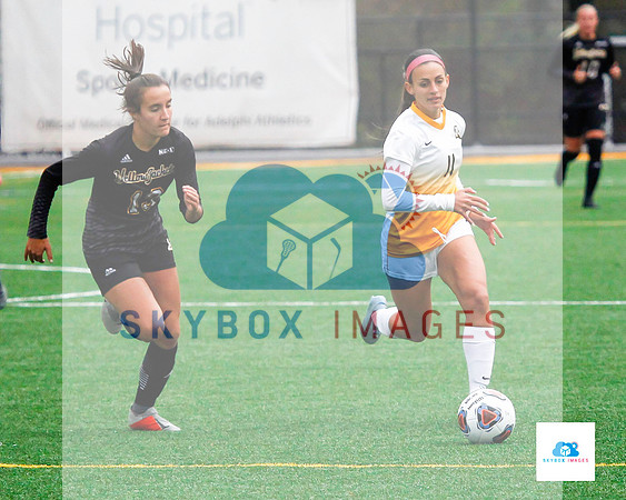 AIC vs Adelphi women's soccer NE10 Playoffs 2019