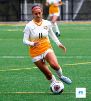 AIC vs Adelphi women's soccer NE10 Playoffs 2019