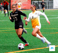 AIC vs Adelphi women's soccer NE10 Playoffs 2019