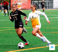 AIC vs Adelphi women's soccer NE10 Playoffs 2019