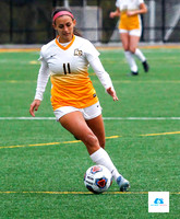 AIC vs Adelphi women's soccer NE10 Playoffs 2019