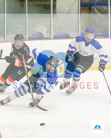 PW Vikings High School Ice hockey team 2019