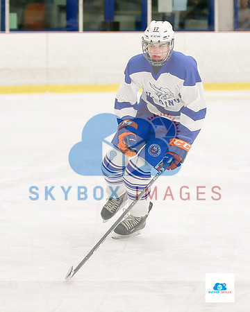 PW Vikings High School Ice hockey team 2019