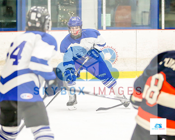 PW Vikings High School Ice hockey team 2019