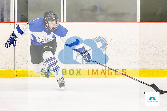 PW Vikings High School Ice hockey team 2019