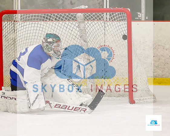PW Vikings High School Ice hockey team 2019