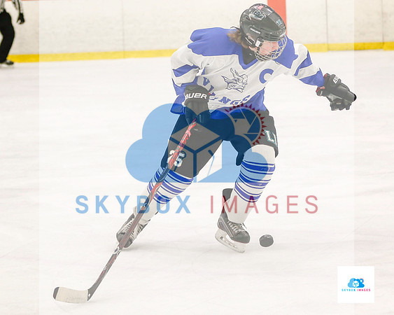 PW Vikings High School Ice hockey team 2019