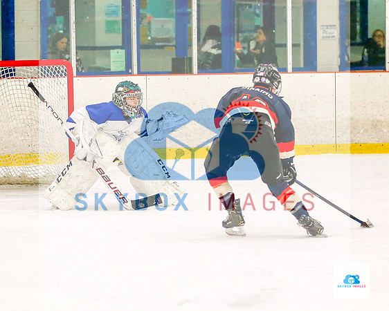 PW Vikings High School Ice hockey team 2019