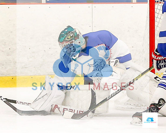 PW Vikings High School Ice hockey team 2019