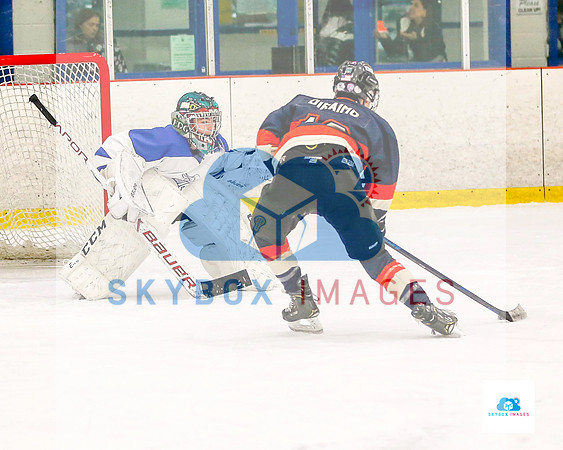 PW Vikings High School Ice hockey team 2019