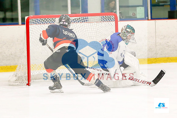 PW Vikings High School Ice hockey team 2019