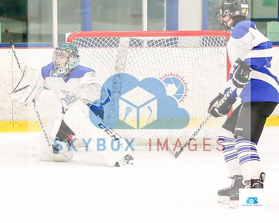 PW Vikings High School Ice hockey team 2019