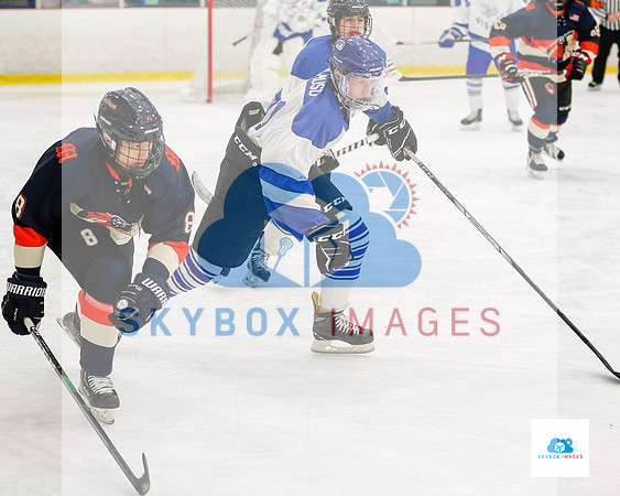 PW Vikings High School Ice hockey team 2019