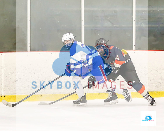 PW Vikings High School Ice hockey team 2019