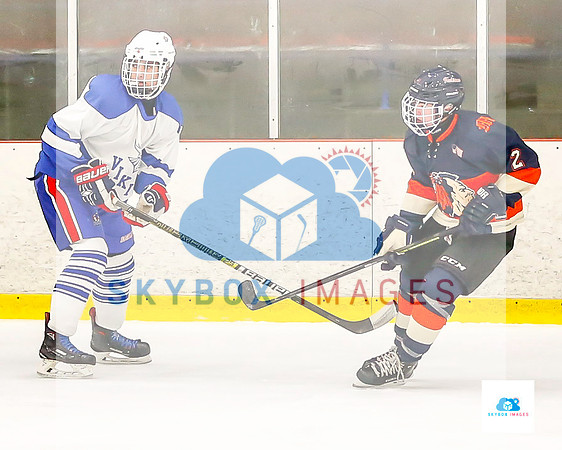 PW Vikings High School Ice hockey team 2019