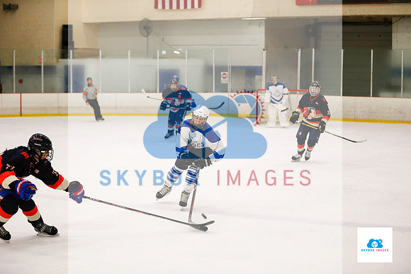 PW Vikings High School Ice hockey team 2019